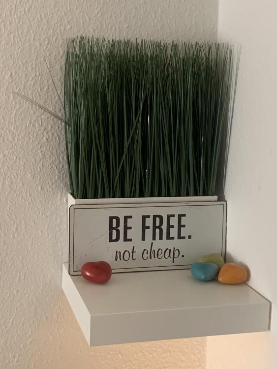BeFreeNotCheap-compressed.jpeg