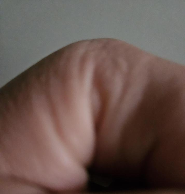 20250209_152952.jpg