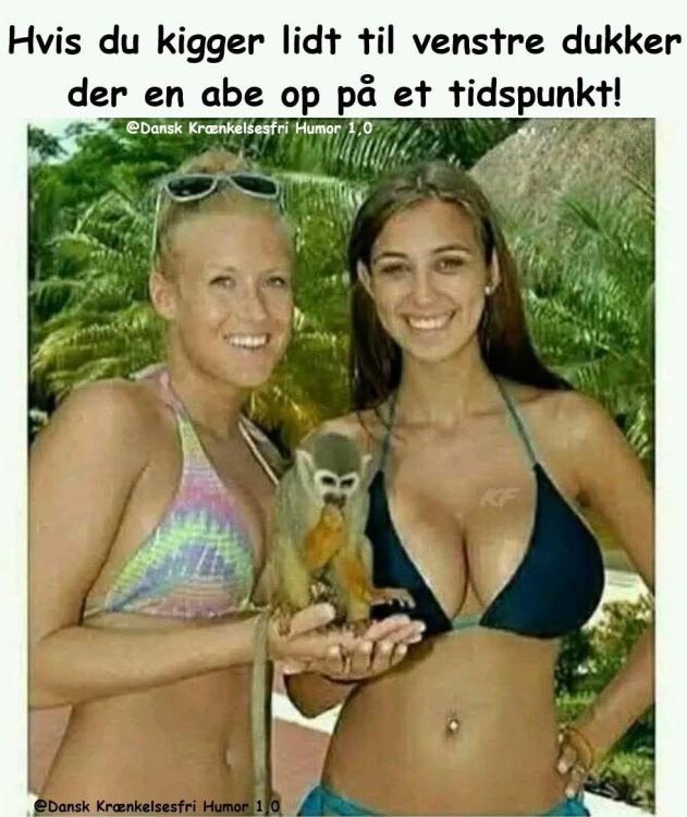 498130905_1217952506999093_3080779383887753075_n.thumb.jpg.58a479d855cf88806d7f616382fd8baf.jpg