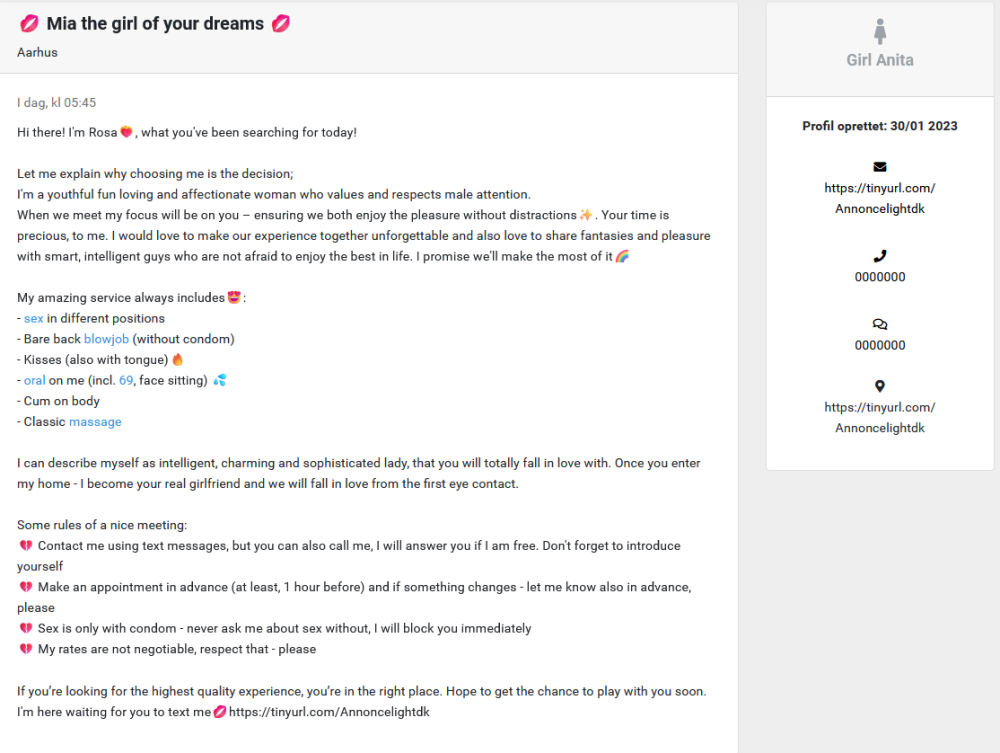 Skærmbillede 2026-01-04 111610.png