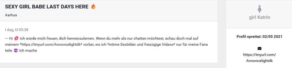 Skærmbillede 2026-01-04 112007.png